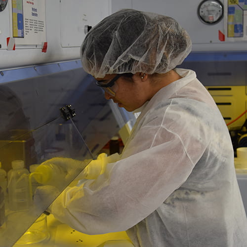 Students get hands on experience using tools typically found in a cleanroom